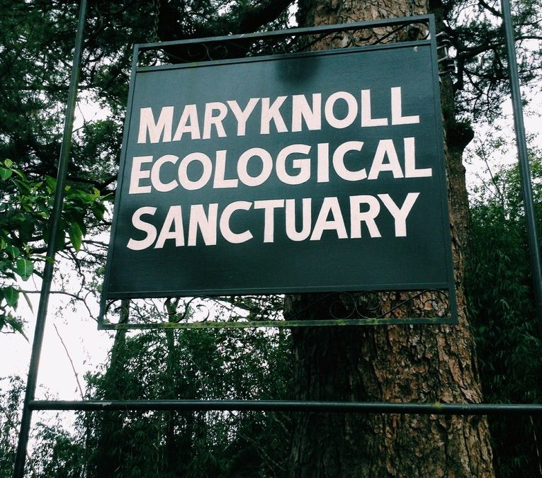 MaryKnoll Ecological Park